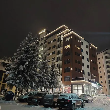 Mijatovic 22 Zlatibor