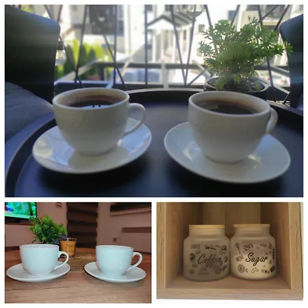 Apartment Mijatovic 22